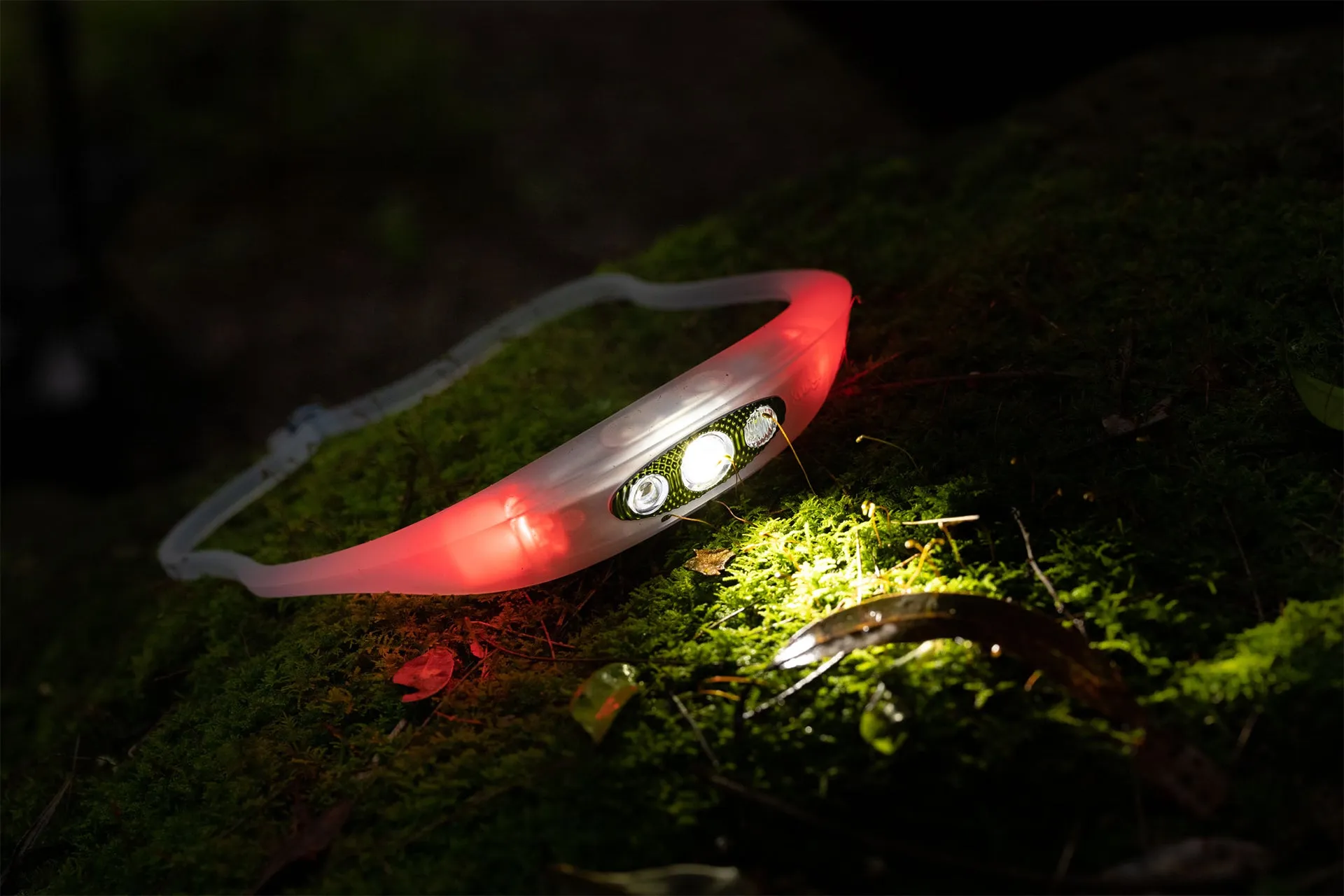 Bandicoot Run 250 Headlamp - Blue