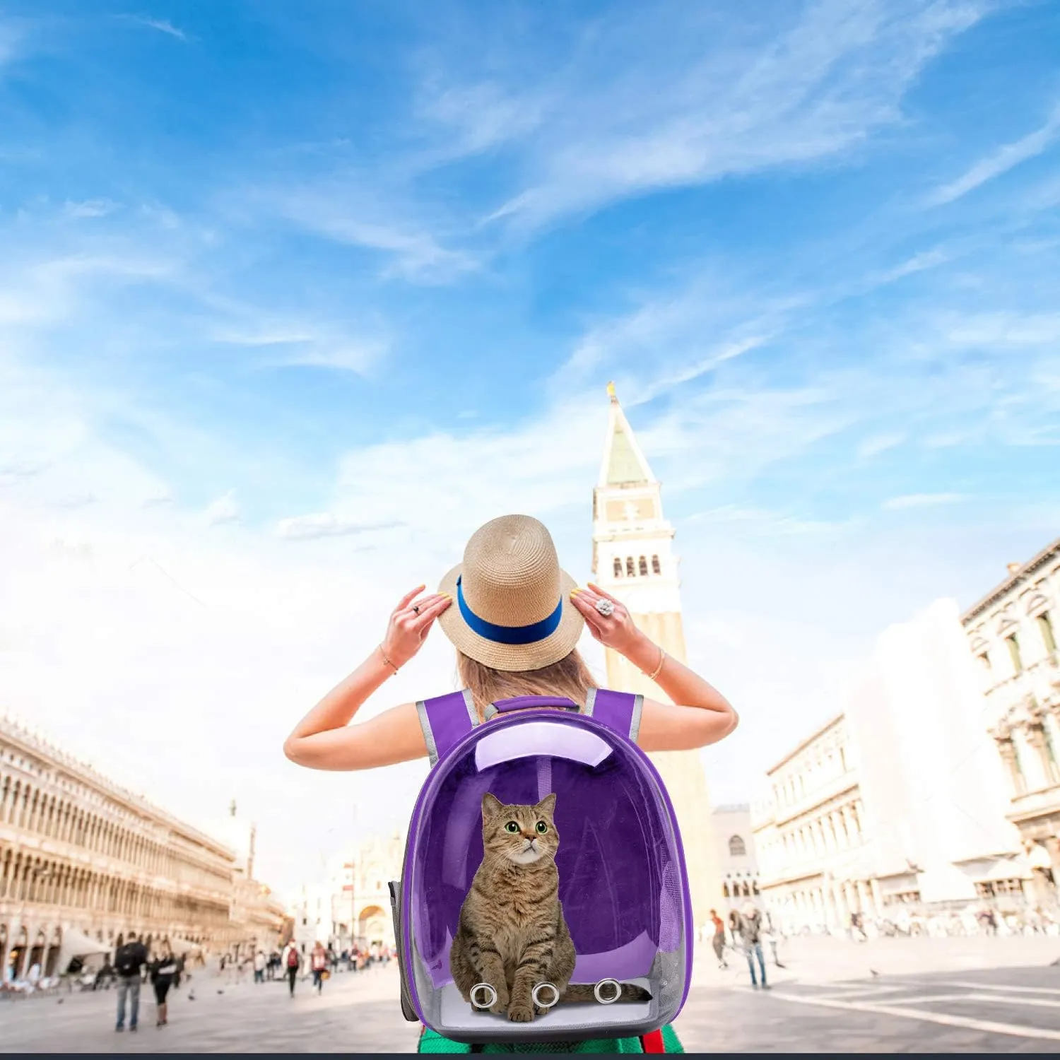 Cat Backpack Carrier Bubble Carrying Bag, Small Dog Backpack Carrier for Small Medium Dogs Cats, Space Capsule Pet Carrier Dog Hiking Backpack, Airline Approved Travel Carrier - Purple