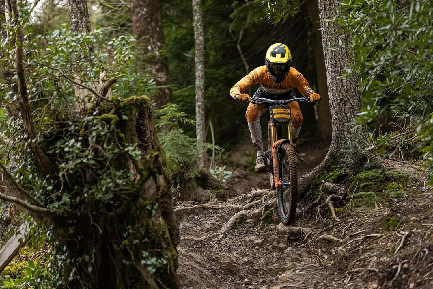 Continental Argotal - Tubeless Ready Mountain Bike Tire - Specialist for Loose Terrain