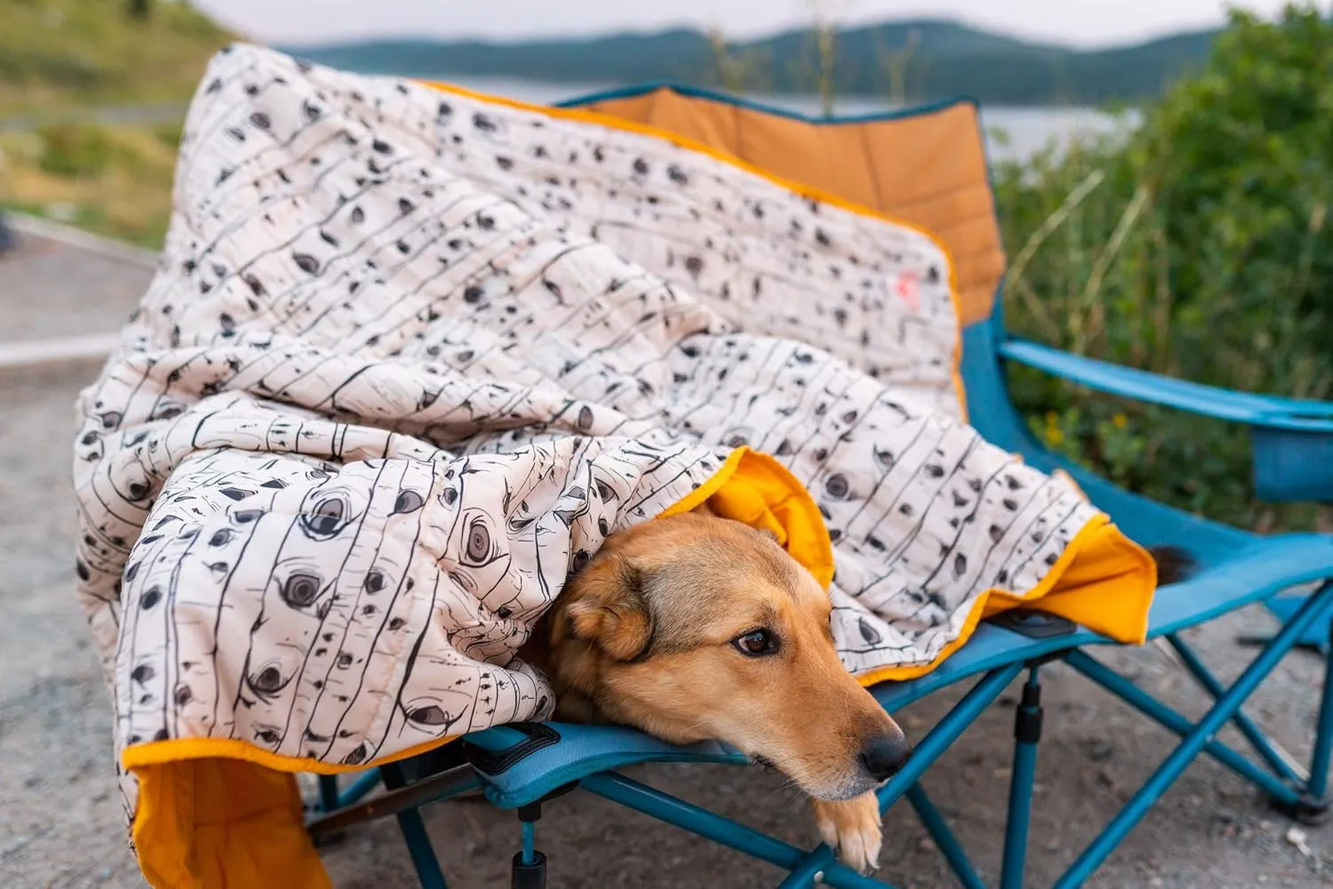 Kelty Biggie Blanket, 2 Person Large Insulated Camping Indoor Outdoor Travel Blanket and Ground Picnic Covering, Updated for 2022