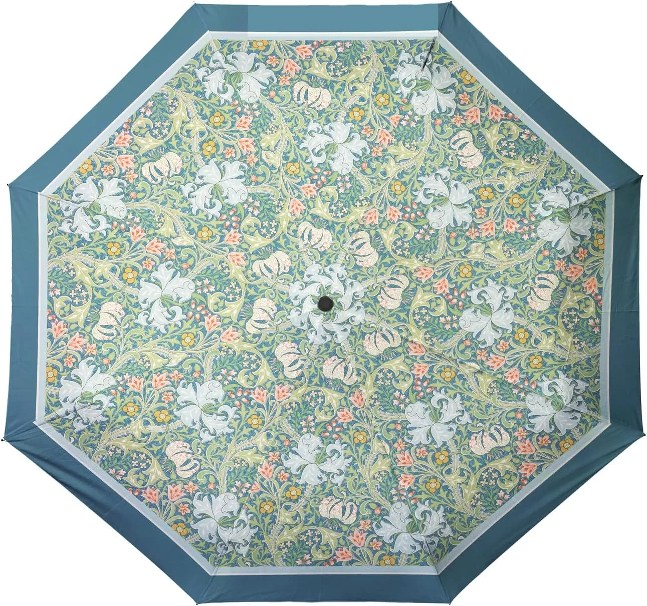 RainCaper Folding Travel Umbrellas
