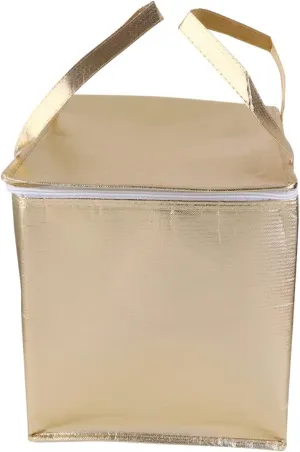 SECFOU Thermal Bag Insulation Bag for Camping Large Capacity Washable Non-woven Material