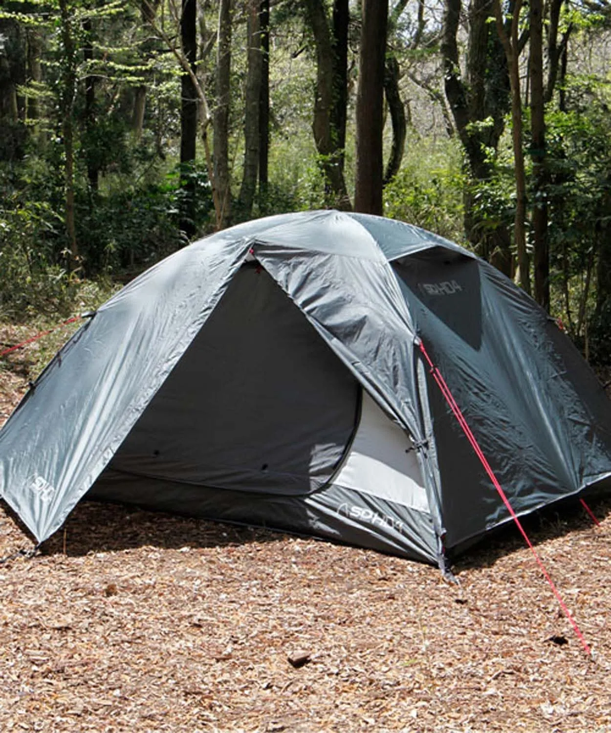 Sierra Designs 80001/80002 Outdoor Camping Dome Tent