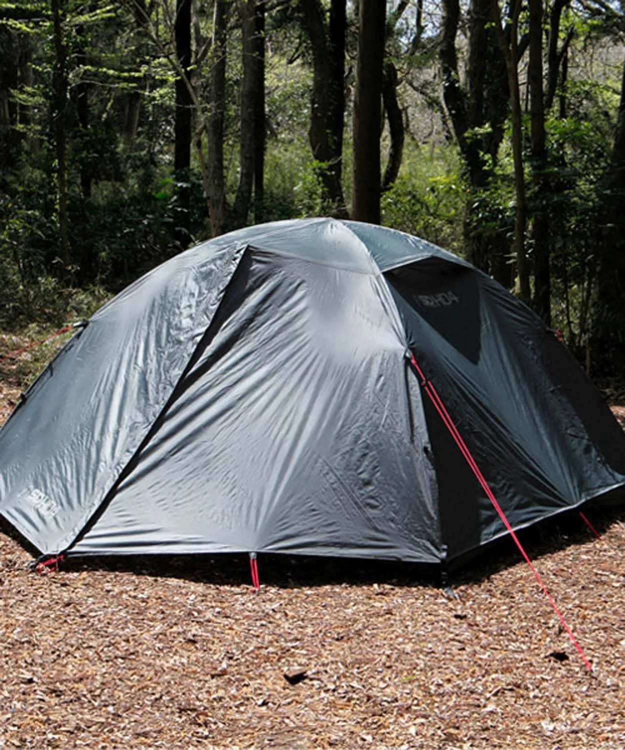 Sierra Designs 80001/80002 Outdoor Camping Dome Tent