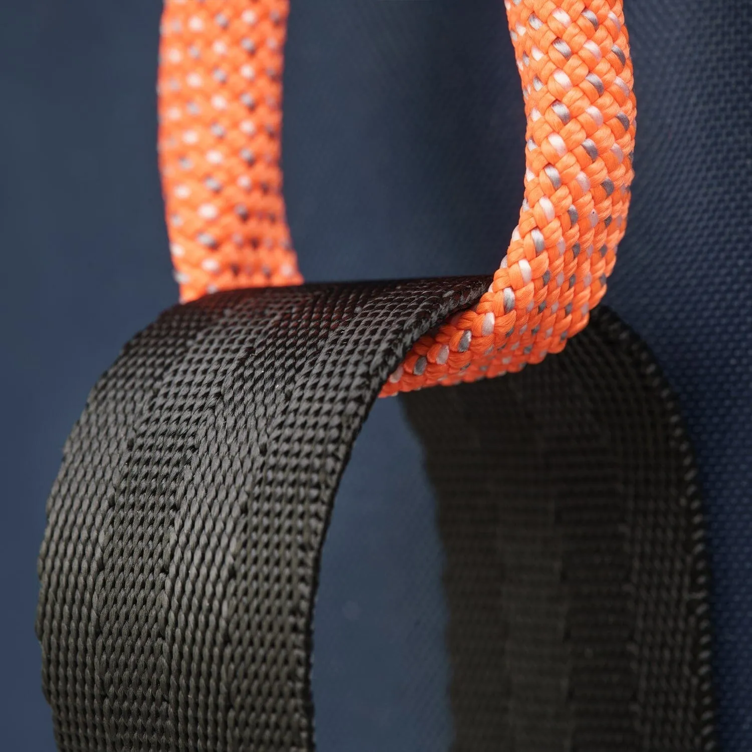 Small Waterproof Backpack - Petit Gravelot | LA VIRGULE